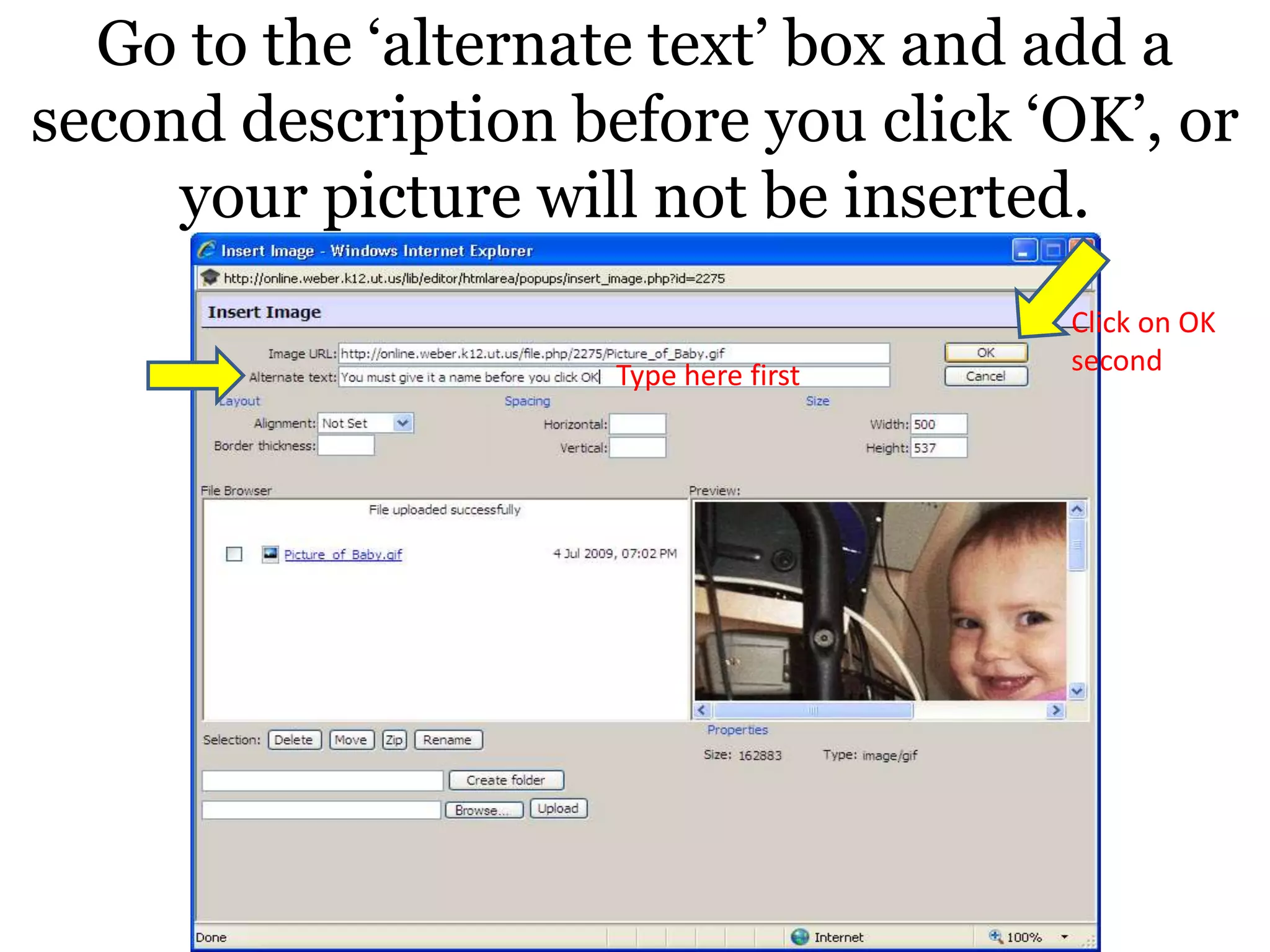 Go to the ‘alternate text’ box and add a second description before you click ‘OK’, or your picture will not be inserted.Click on OK secondType here first