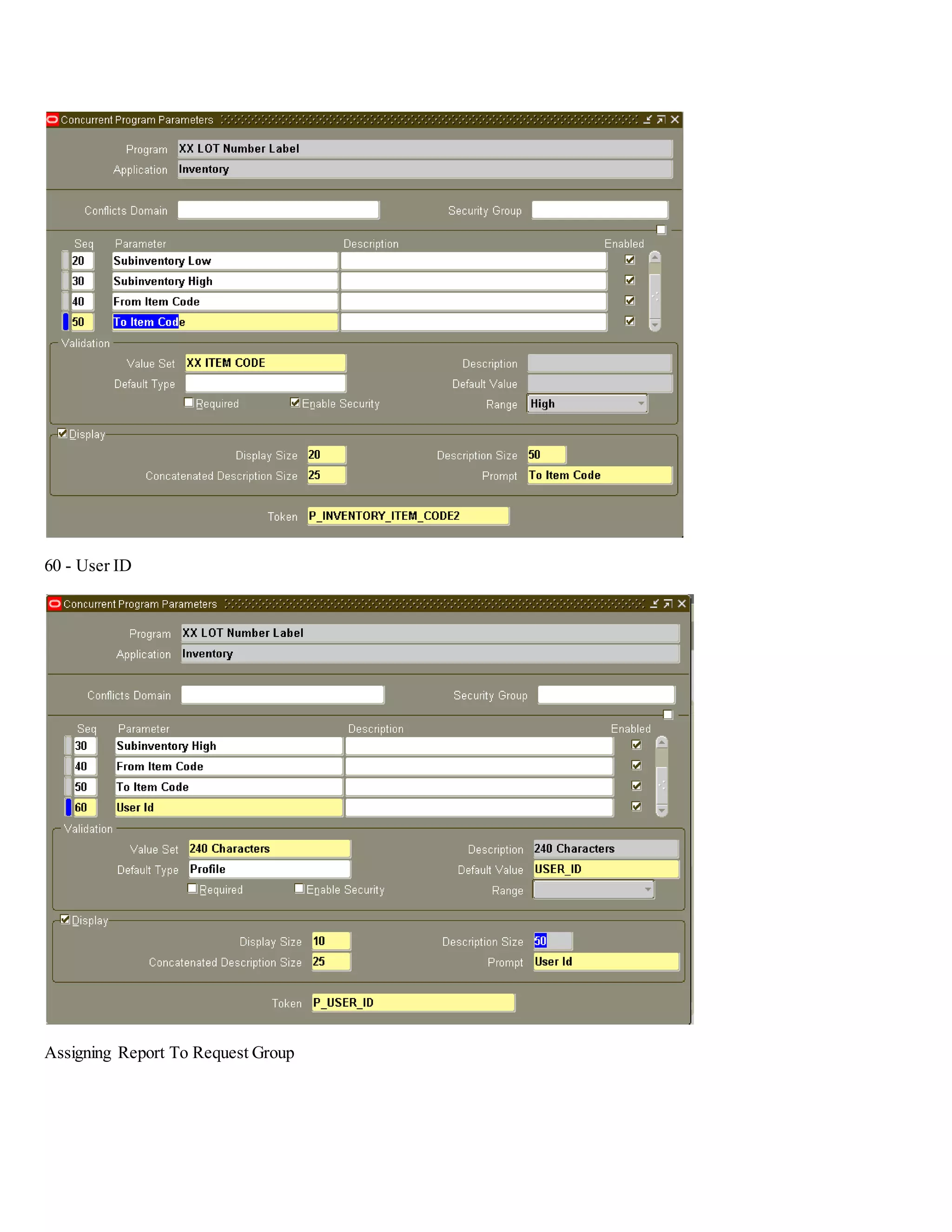 60 - User ID Assigning Report To Request Group 
