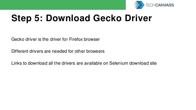 install gecko driver install gecko driver