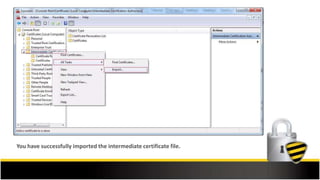 You have successfully imported the intermediate certificate file.
 