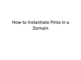 How to Instantiate Pinta in a
Domain

 