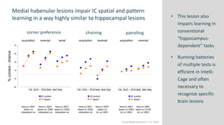 Intelli Spatial How to investigate behavior and cognitive abilities in rodents in a ...