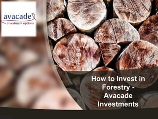 How to Invest in 
Forestry - 
Avacade 
Investments 
 