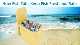 How Fish Tubs Keep Fish Fresh and Safe
 