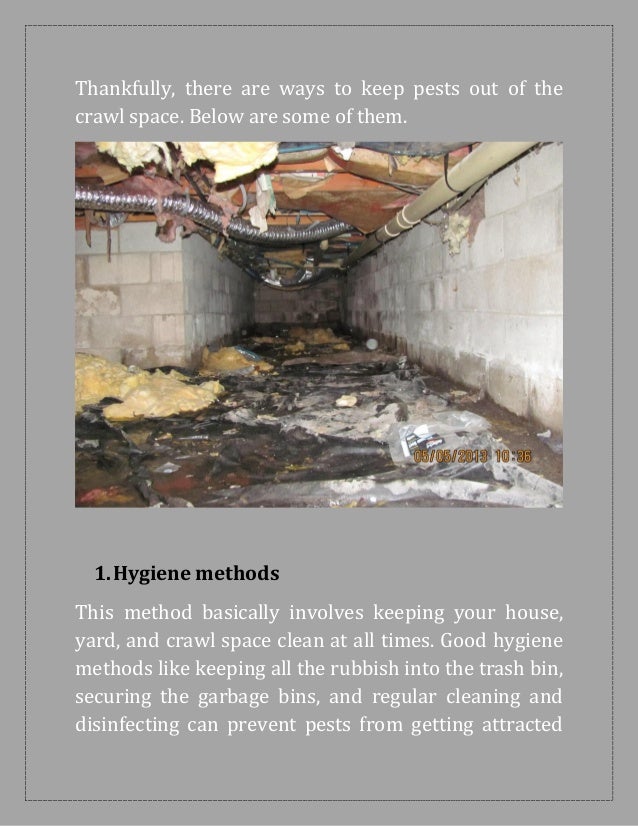 How to keep pests out of your crawl space