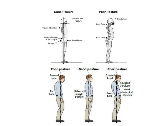 Spinehealth Care A Way To Keep Your Backbone Healthful Spinehealth Care A Way To Keep Your Backbone Healthful