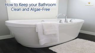 How to Keep your Bathroom
Clean and Algae-Free
 
