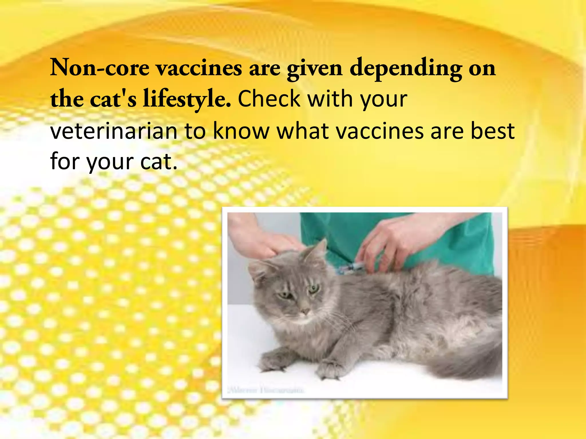 Check with your
veterinarian to know what vaccines are best
for your cat.
 