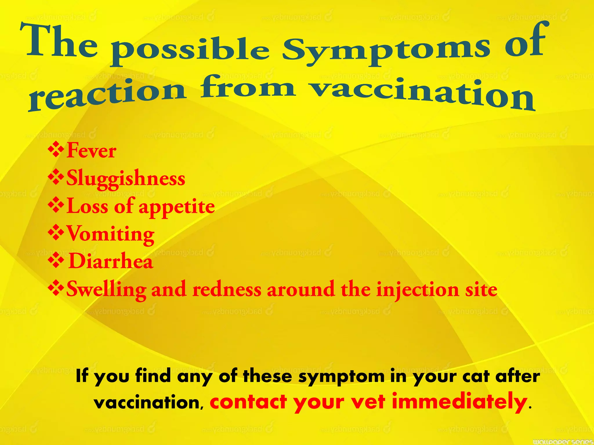 





If you find any of these symptom in your cat after
vaccination, contact your vet immediately.
 