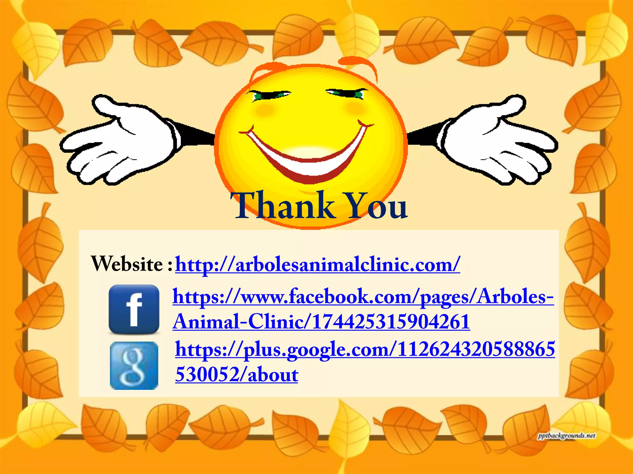 How To Keep Your Cat Out Of Trouble