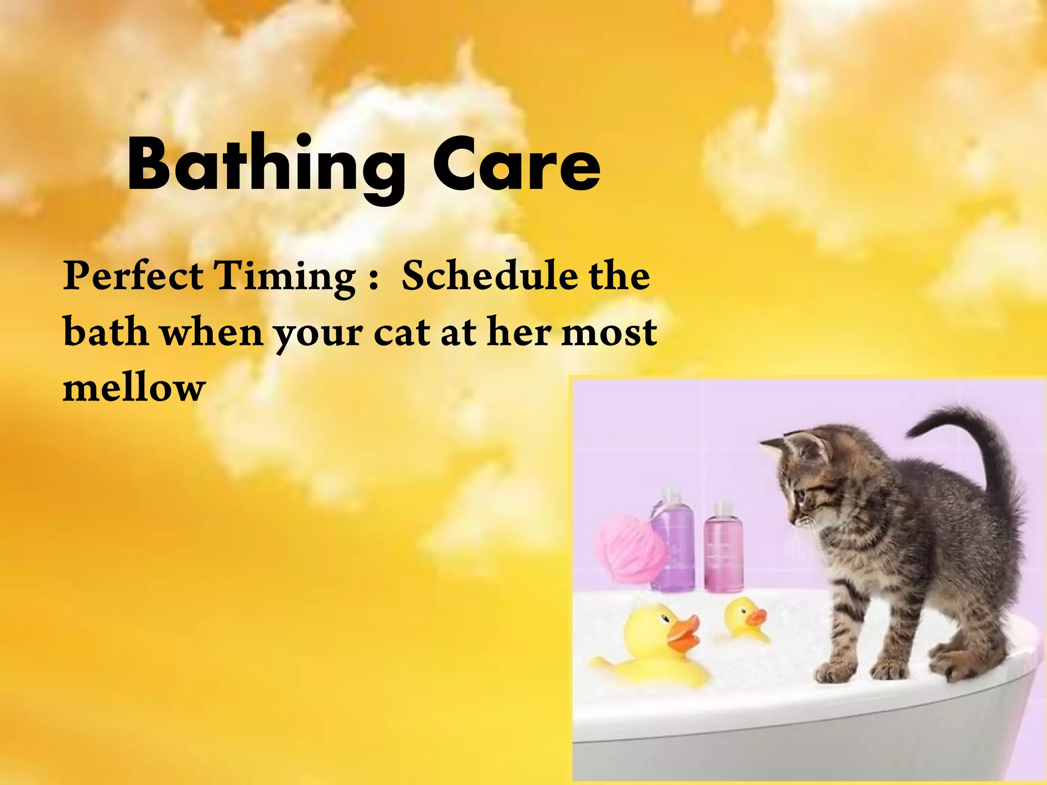 Bathing Care
 