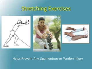 Stretching Exercises
Helps Prevent Any Ligamentous or Tendon Injury
 