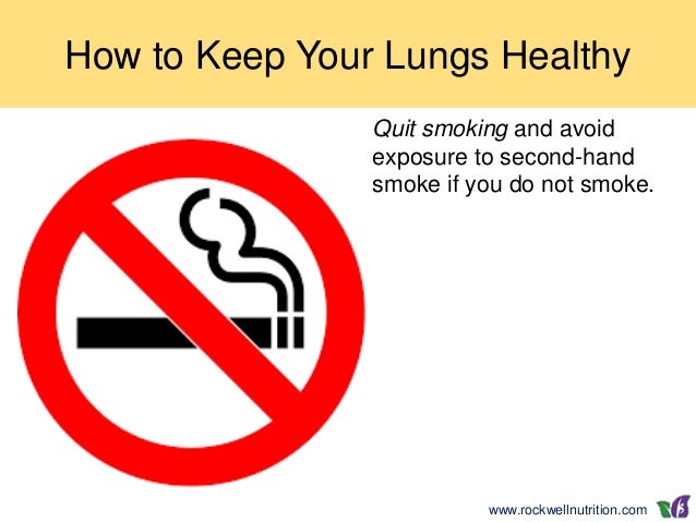 How To Keep Lungs Healthy For Smokers How To Keep Lungs Healthy For Smokers