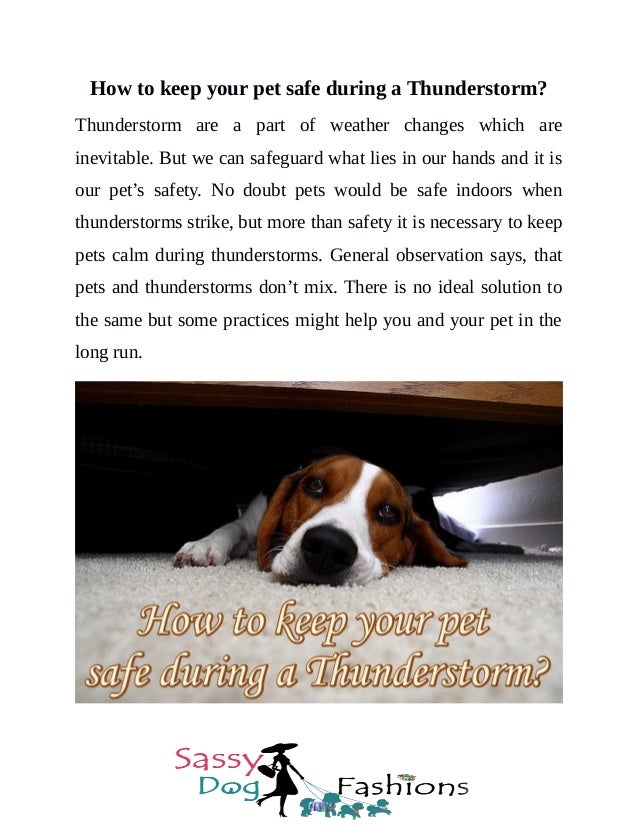 keep your pet safe in thunderstorms