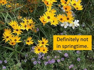 Definitely not
in springtime.
 