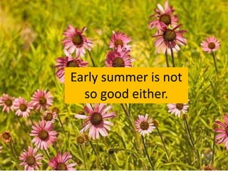 Early summer is not
so good either.
 