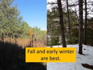 Fall and early winter
are best.
 