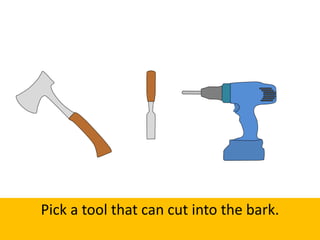 Pick a tool that can cut into the bark.
 
