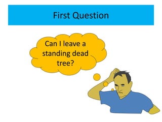 First Question
Can I leave a
standing dead
tree?
 