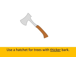 Use a hatchet for trees with thicker bark.
 