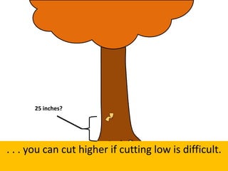 . . . you can cut higher if cutting low is difficult.
25 inches?
 