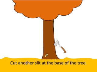 Cut another slit at the base of the tree.
 