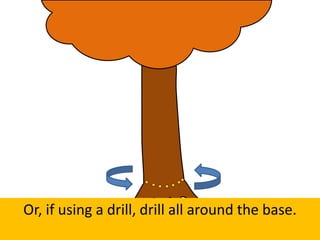 Or, if using a drill, drill all around the base.
 