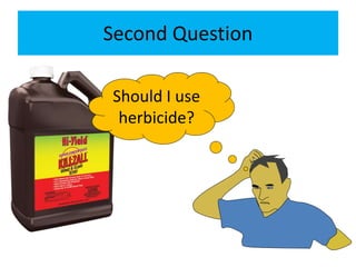 Second Question
Should I use
herbicide?
 