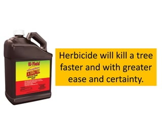 Herbicide will kill a tree
faster and with greater
ease and certainty.
 
