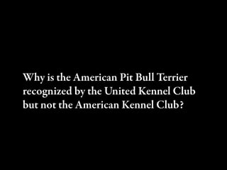 Why is the American Pit Bull Terrier
recognized by the United Kennel Club
but not the American Kennel Club?
 