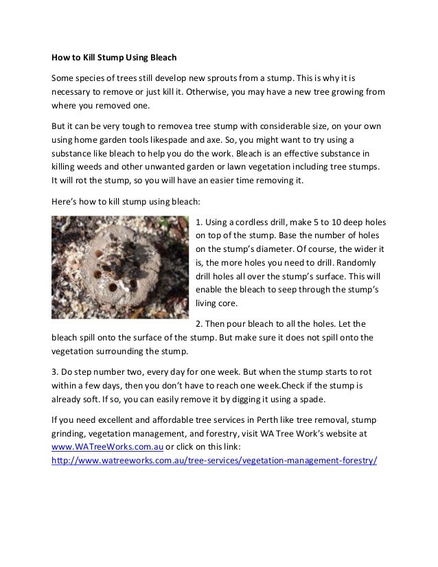 How to kill stump using bleach