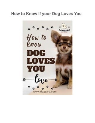 How to Know if your Dog Loves You
 