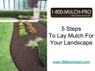 5 Steps To Lay Mulch For Your Landscape  Call 1-800-MULCH-PRO and get connected with a mulch professional that services your local area.  1-800-MULCH-PRO is a network of the most elite and reputable landscape supply companies in the country.  You can also visit us online at http://www.1800mulchpro.com  for more information. www.1800mulchpro.com 