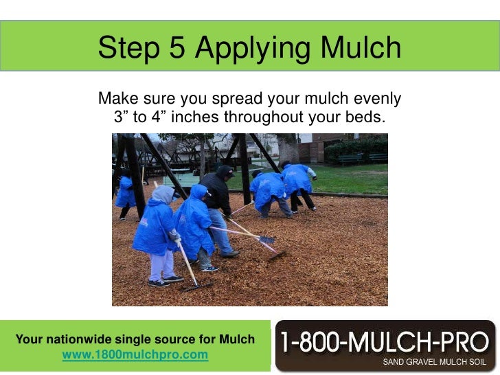 How to lay mulch for your landscape