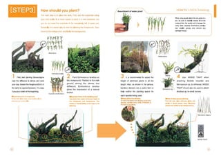 ADA how to layout making