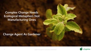 Complex Change Needs
Ecological Metaphors Not
Manufacturing Ones
Change Agent As Gardener
32 Copyright © 2019 nuCognitive LLC. All rights reserved. SOTA|Walsh;May2019
 
