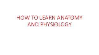 HOW TO LEARN ANATOMY
AND PHYSIOLOGY
 