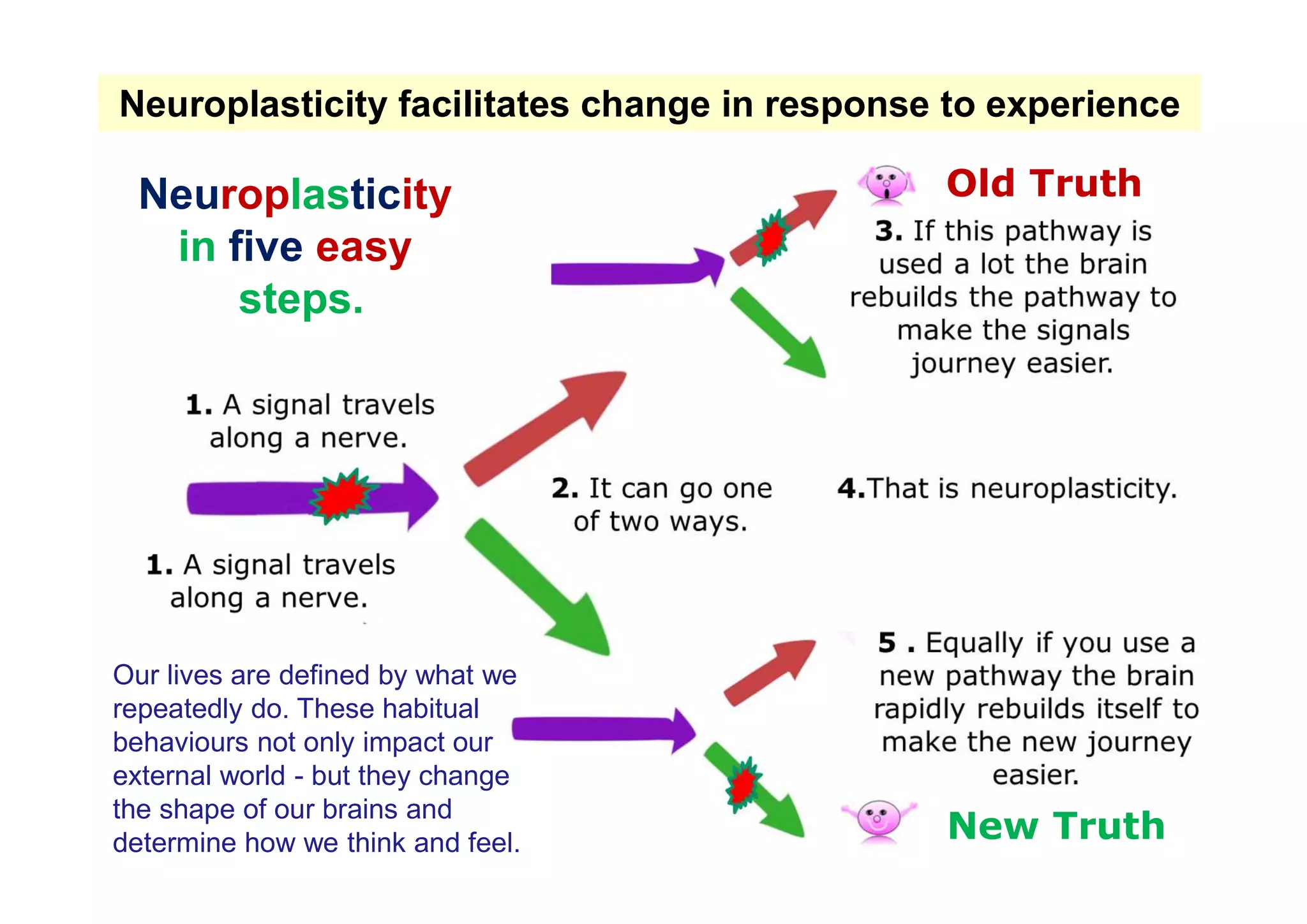 Neuroplasticity facilitates change in response to experience
Neuroplasticity
in five easy
steps.
Our lives are defined by what we
repeatedly do. These habitual
behaviours not only impact our
external world - but they change
the shape of our brains and
determine how we think and feel.
Old Truth
New Truth
 