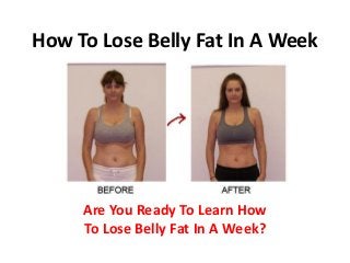How To Lose Belly Fat In A Week
Are You Ready To Learn How
To Lose Belly Fat In A Week?
 