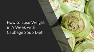 How to Lose Weight
in A Week with
Cabbage Soup Diet
 