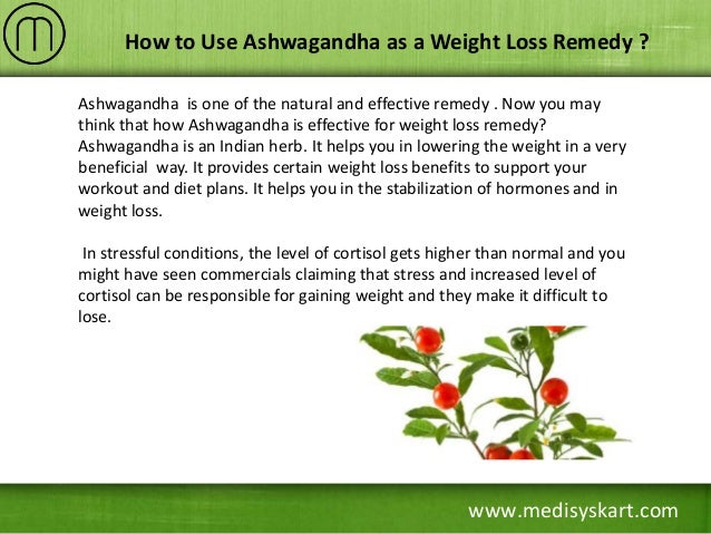 How To Lose Weight Using Ashwagandha How To Lose Weight Using Ashwagandha
