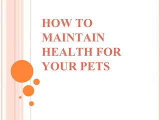 HOW TO
MAINTAIN
HEALTH FOR
YOUR PETS
 