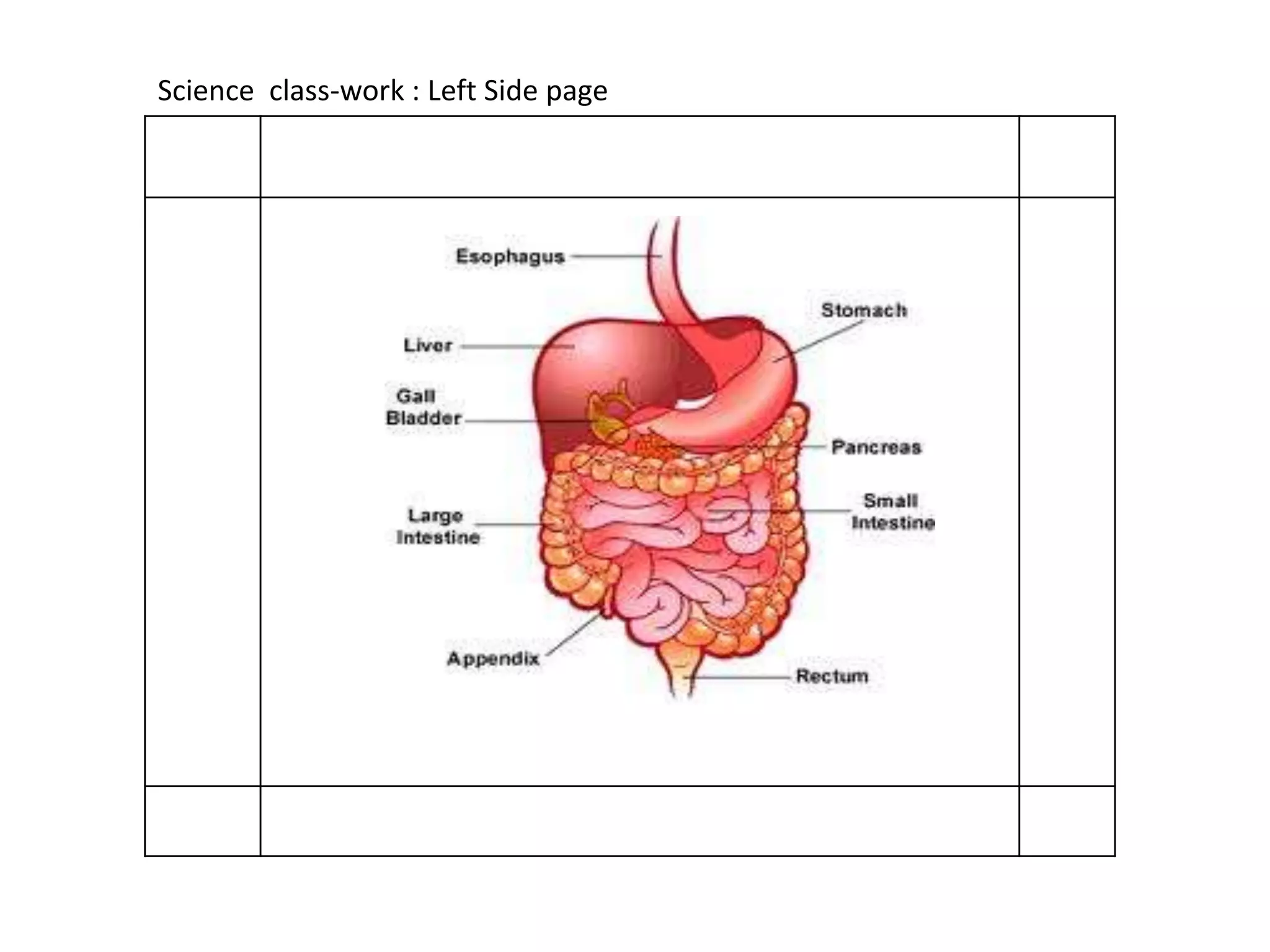 Science class-work : Left Side page
 