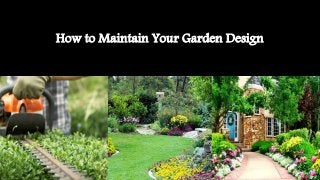 How to Maintain Your Garden Design
 