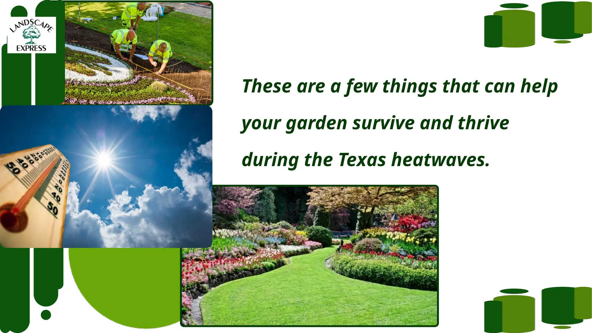 These are a few things that can help
your garden survive and thrive
during the Texas heatwaves.
 