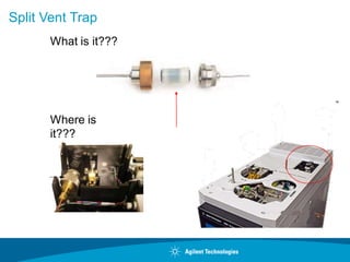 Split Vent Trap
What is it???
Where is
it???
 