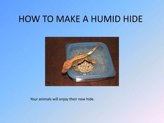HOW TO MAKE A HUMID HIDE

Your animals will enjoy their new hide.

 