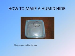 HOW TO MAKE A HUMID HIDE

All set to start making the hole

 