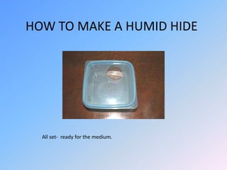 HOW TO MAKE A HUMID HIDE

All set- ready for the medium.

 
