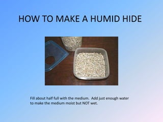 HOW TO MAKE A HUMID HIDE

Fill about half full with the medium. Add just enough water
to make the medium moist but NOT wet.

 